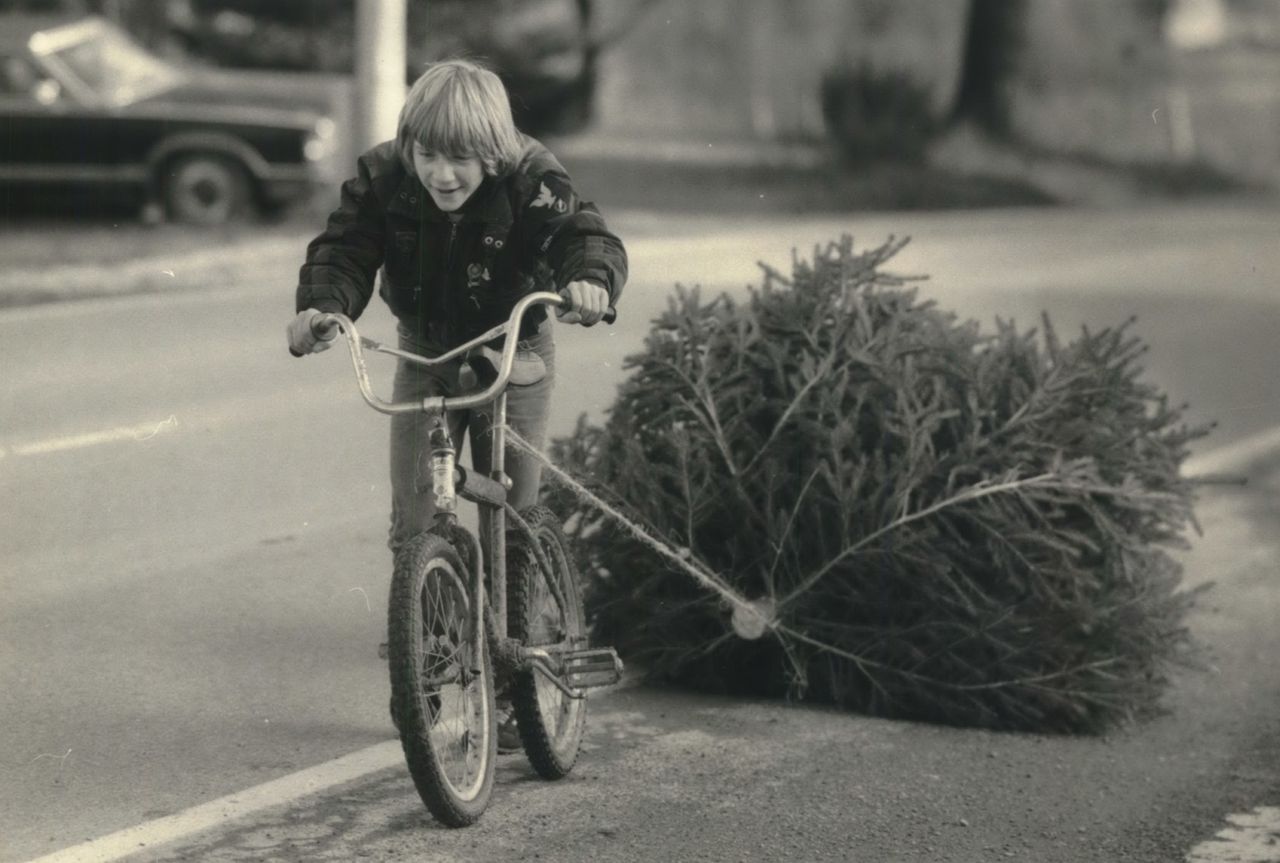 karácsonyfa fenyőfa házhoz szállítás biciklisfutár